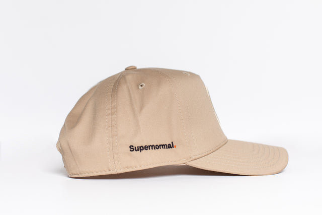 Two-Toned Snapback