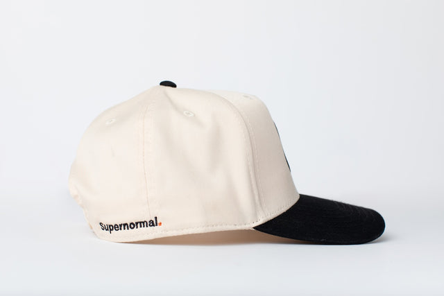 Two-Toned Snapback