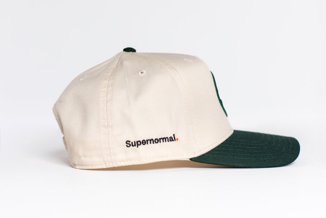Two-Toned Snapback